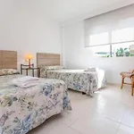 Isabela 2A 3 Habitaciones Con Atico