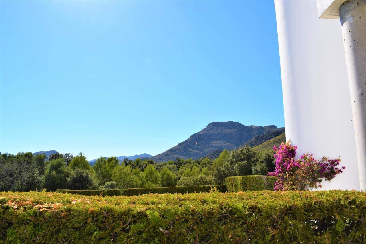 Apartment Ground Floor With Private Garden Bellresguard Port de Pollenca