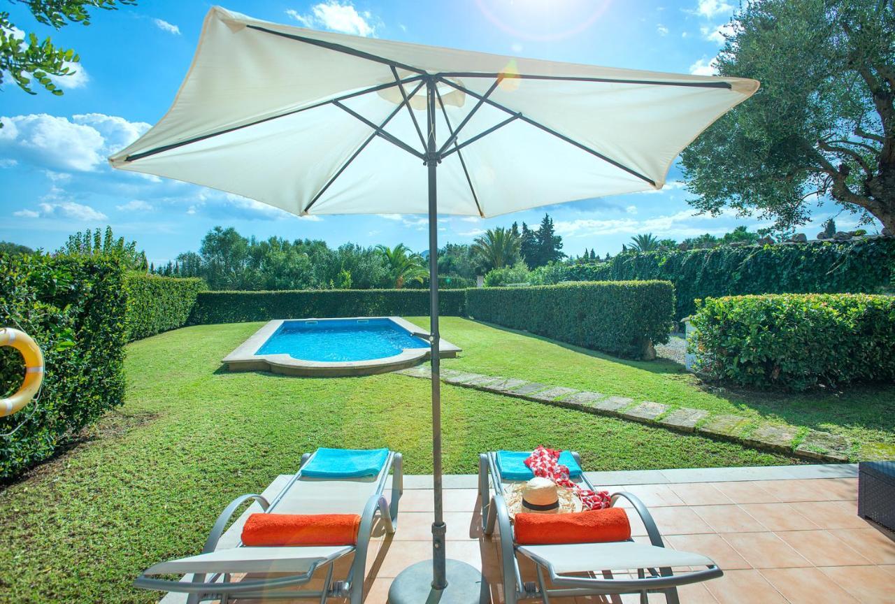 Owl Tarongers - For Couples * Port de Pollenca