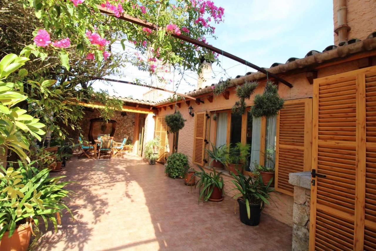Gato Den Vives Casa 4 Con Piscina