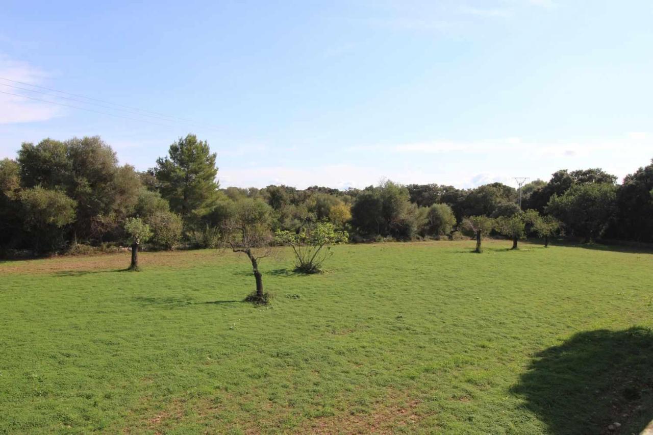 Holiday home Gato Den Vives Casa 4 Con Piscina *