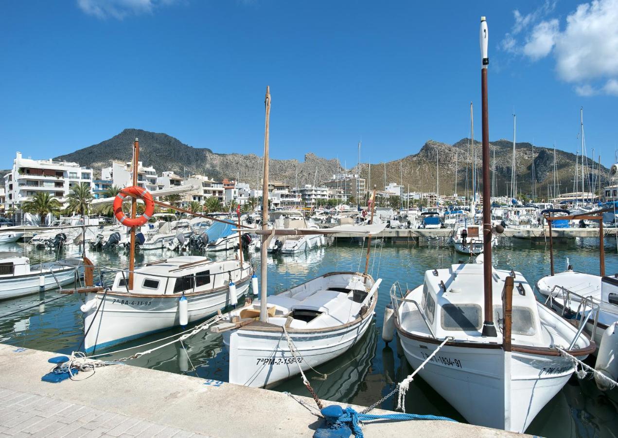 Owl Alejandra - Family And Friends * Port de Pollenca