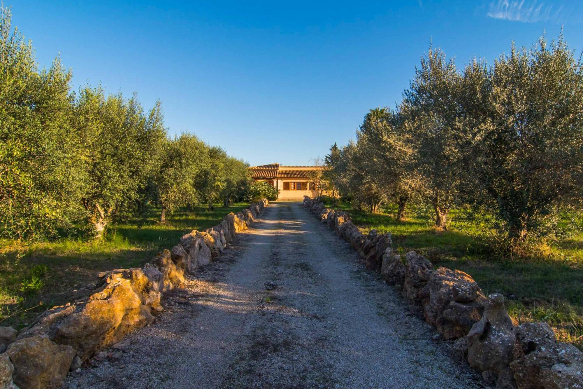 Vobis Villa Port de Pollenca