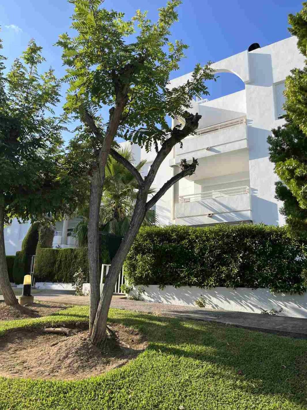 Apartment Isholidays Acron *