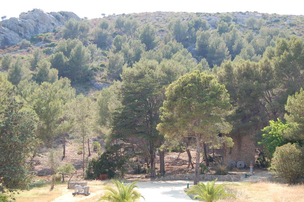 Private For Family Groups, Private Mountain Ideal For Runners, Trailers, Hikers, It Is Approximately 3 Minute Walk From The Port de Pollença