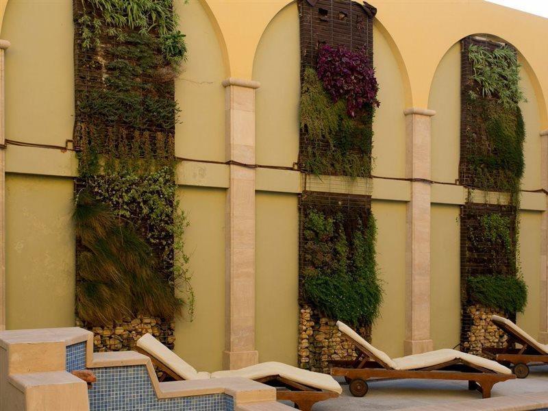 Galeon Apartment *