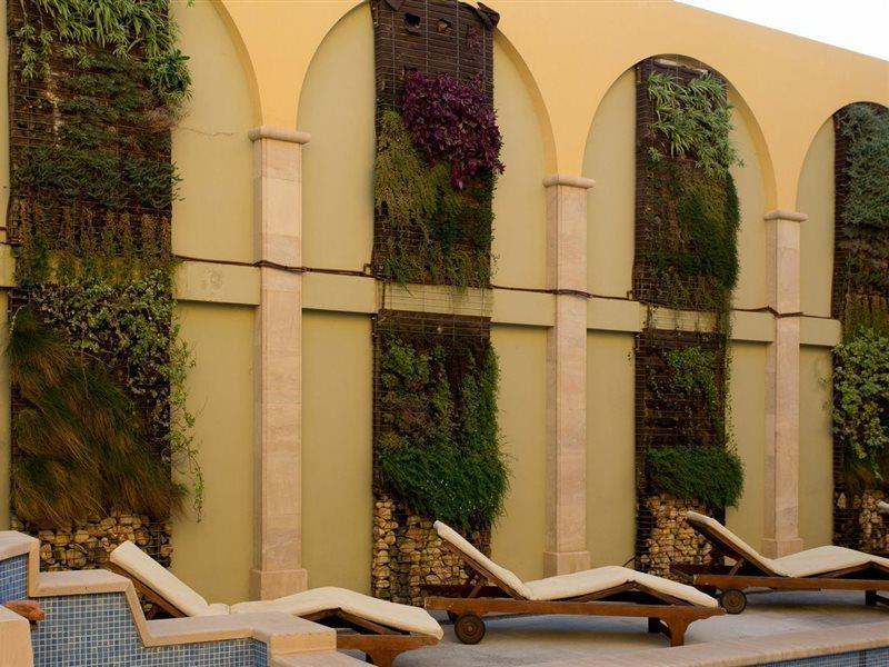 Galeon Apartment