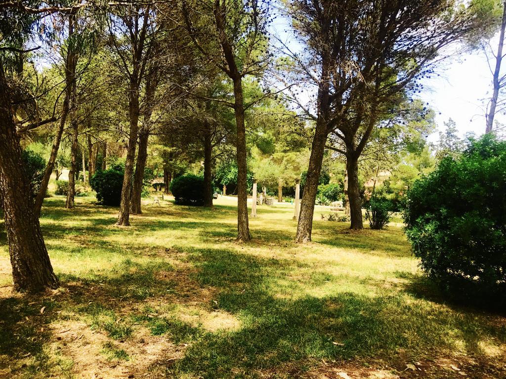 Private For Family Groups, Private Mountain Ideal For Runners, Trailers, Hikers, It Is Approximately 3 Minute Walk From The Villa