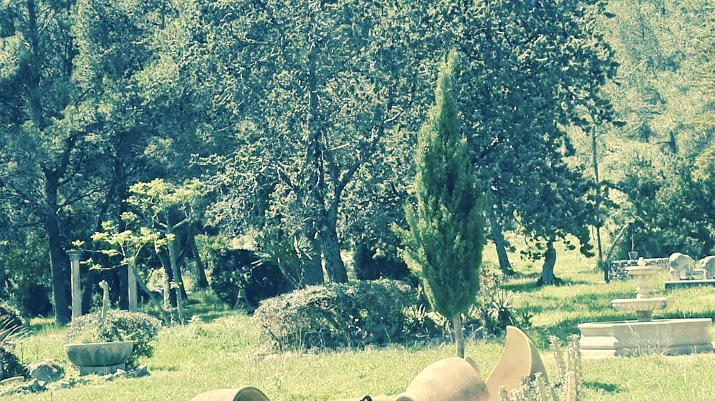 Private For Family Groups, Private Mountain Ideal For Runners, Trailers, Hikers, It Is Approximately 3 Minute Walk From The Villa Port de Pollença