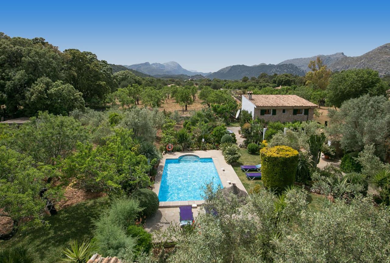 Villa Camarroja