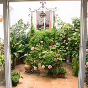 Apartment Alexia - Atolon - Port de Pollenca