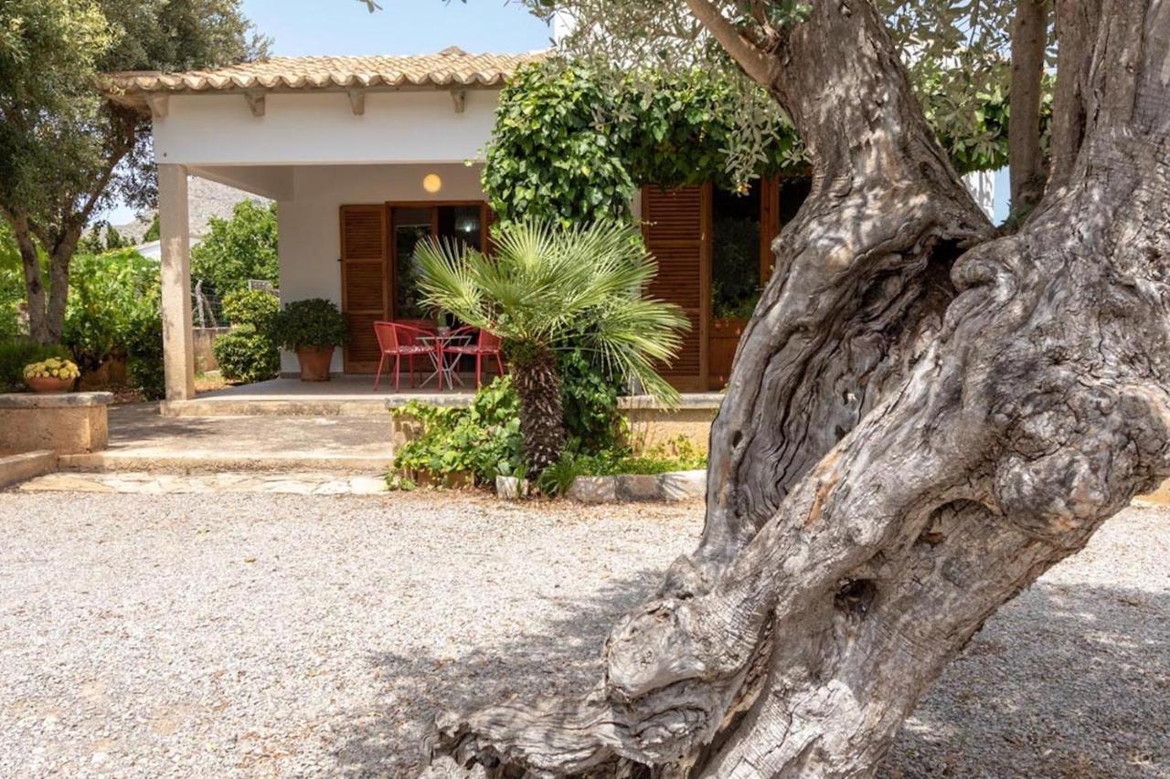 Villa La Vinya Oliver