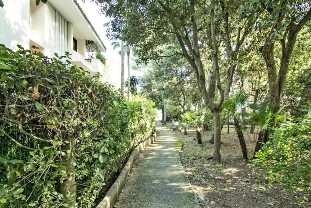 Fantastico Con Wifi Apartment Port de Pollenca
