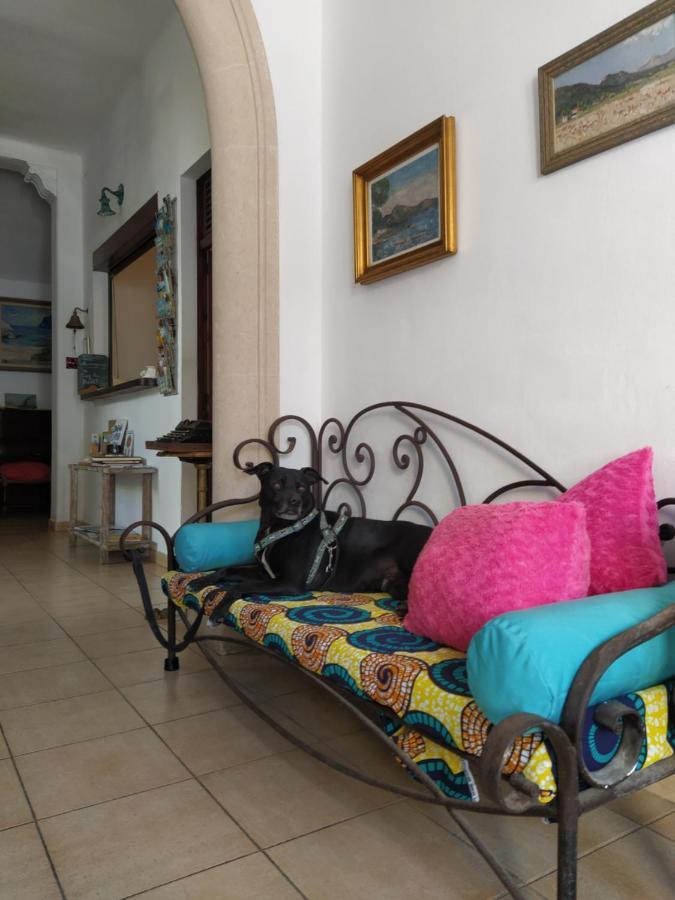 Guest house Bellavista *
