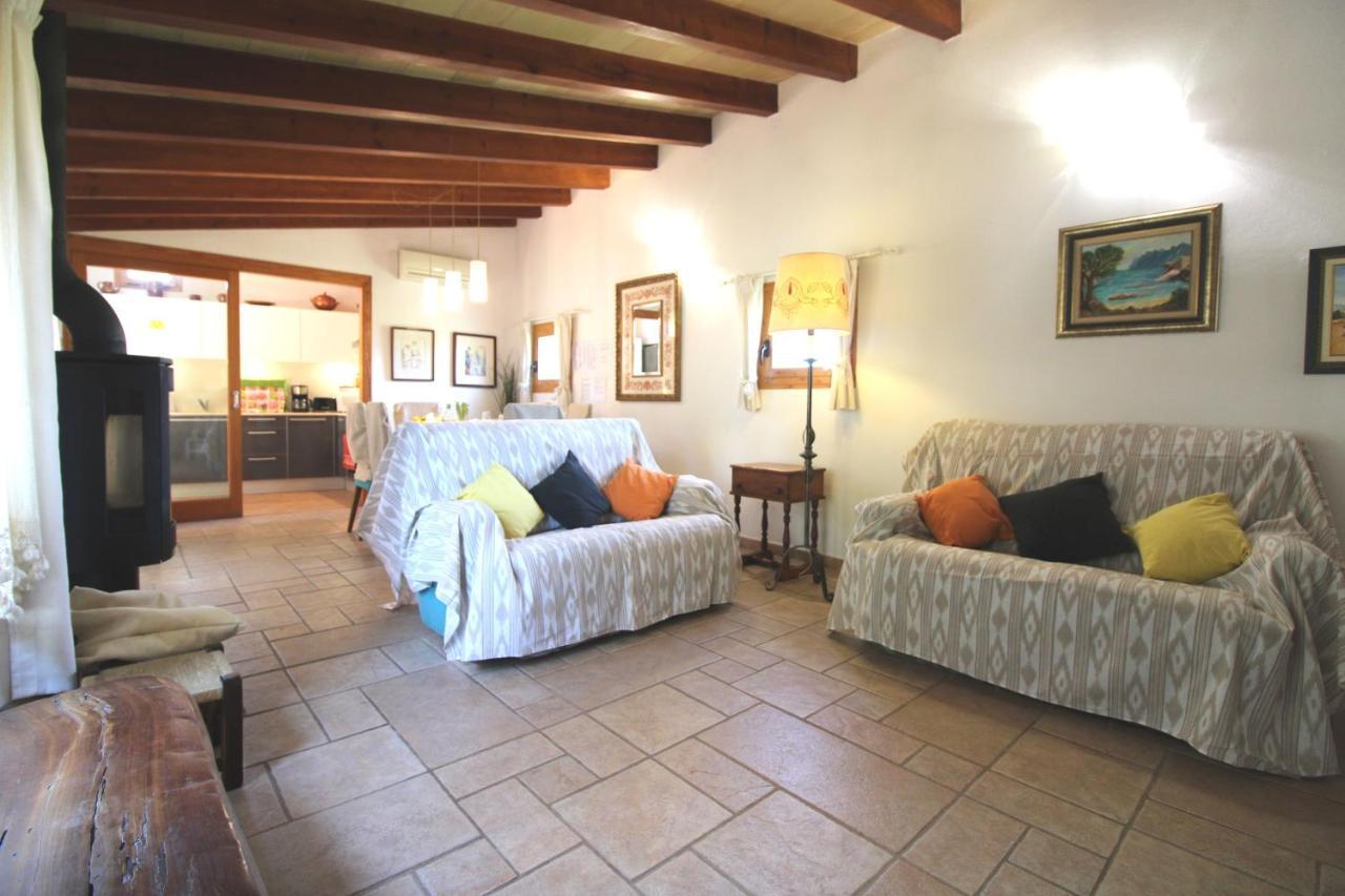 Gato Den Vives Holiday home *
