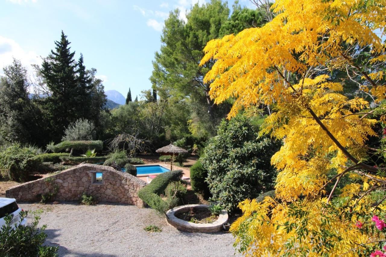 Holiday home Gato Den Vives