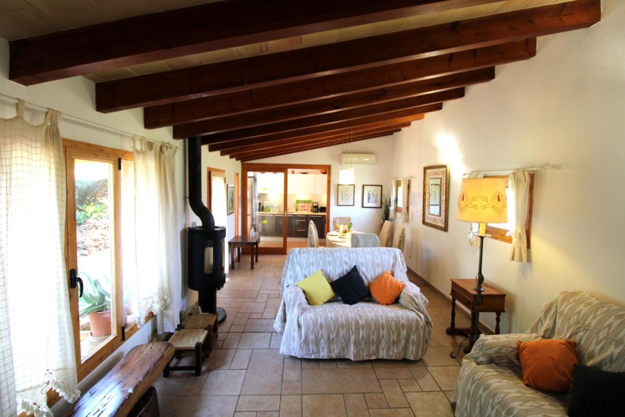 Gato Den Vives Holiday home