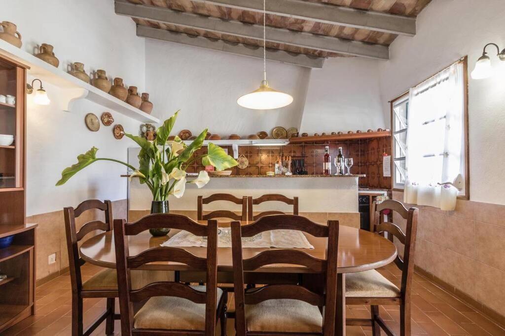 Catalina Petit By Renthousing Holiday home