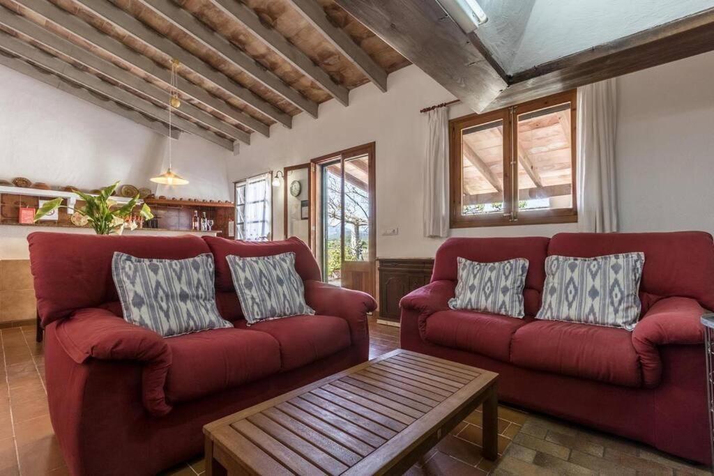 Catalina Petit By Renthousing * Port de Pollenca