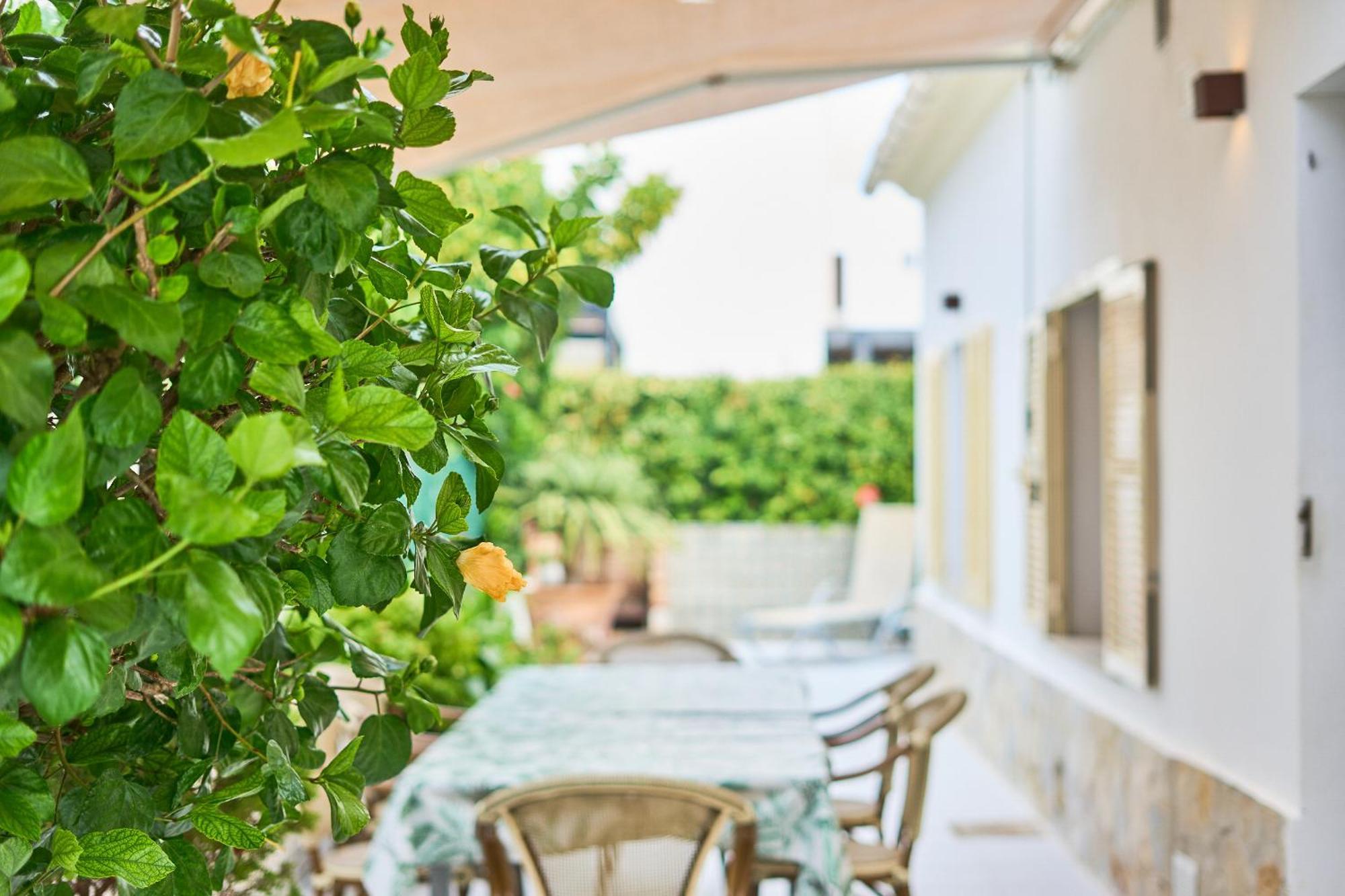 Holiday home Hibiscus *