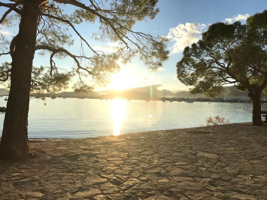 Singala Puerto Pollensa