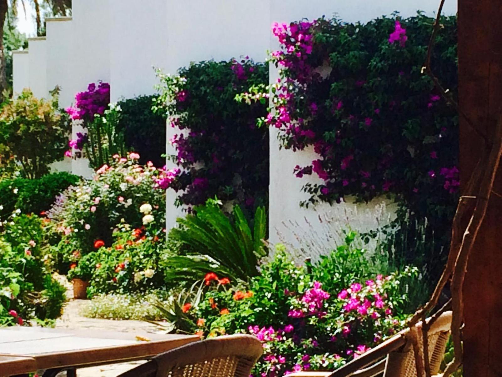 Apartment Sunny Spacious Family In Port de Pollenca