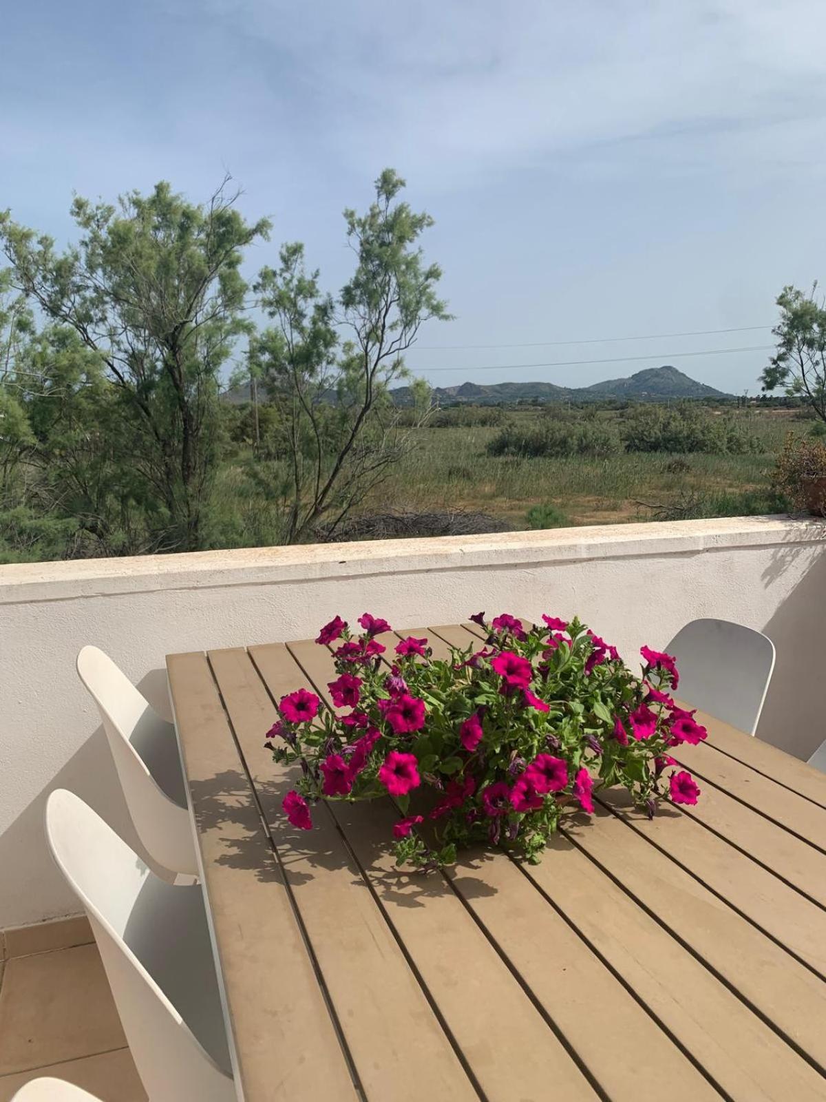 Sunny Spacious Family In * Port de Pollenca
