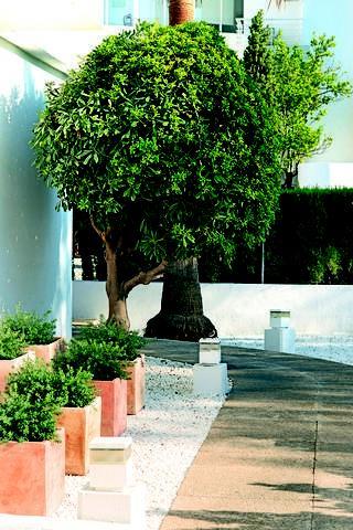 Apartment Bellamar *