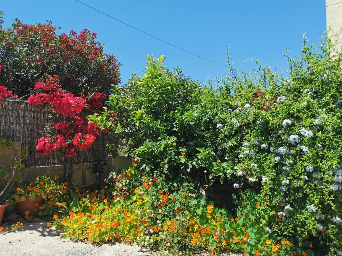 Villa Casa Alexander *