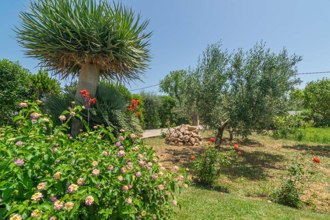 Ca'n Coll Villa