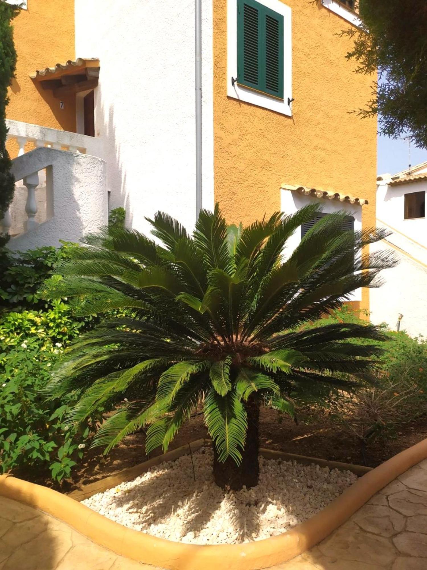 Tantra Majorca With Pool Apartment Port de Pollenca